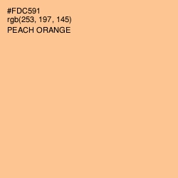 #FDC591 - Peach Orange Color Image